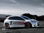 Abarth Grande Punto S2000 2007 года